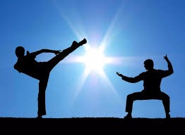 2025 赛季：大联盟官方总结称，2025 年是棒球运动在全球范围内收视率增长最快的一年